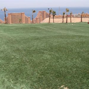 3-6-9 Hole Course Projects