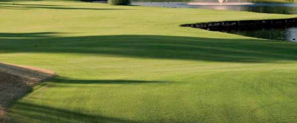 Image of  18 Hole Course (Championship)