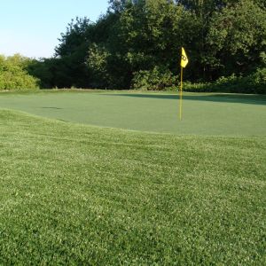 Image of3-6-9 Hole Course Projects